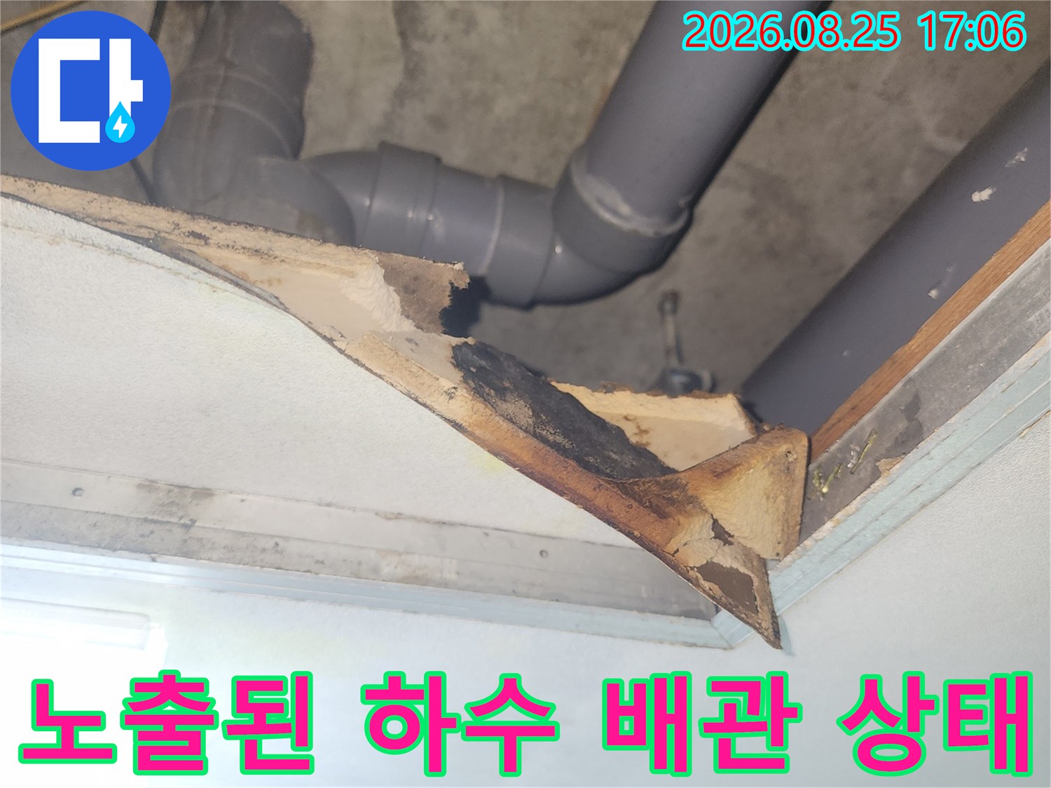 손상된 천장 자재와 노출된 회색 하수 배관의 모습