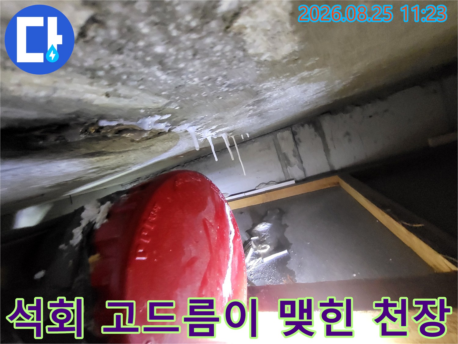 천장 콘크리트에서 형성된 하얀색 석회물 고드름