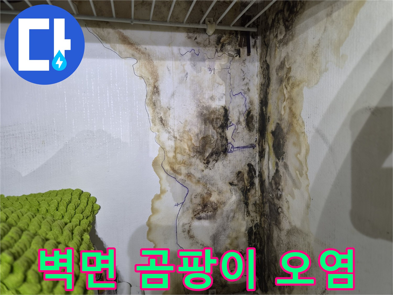 습기가 침투하여 발생한 벽지 곰팡이와 얼룩