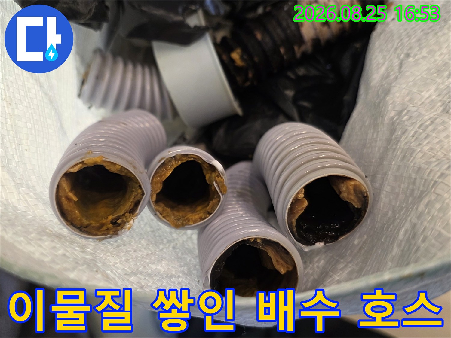 오염된-싱크대-배수관-내부-모습