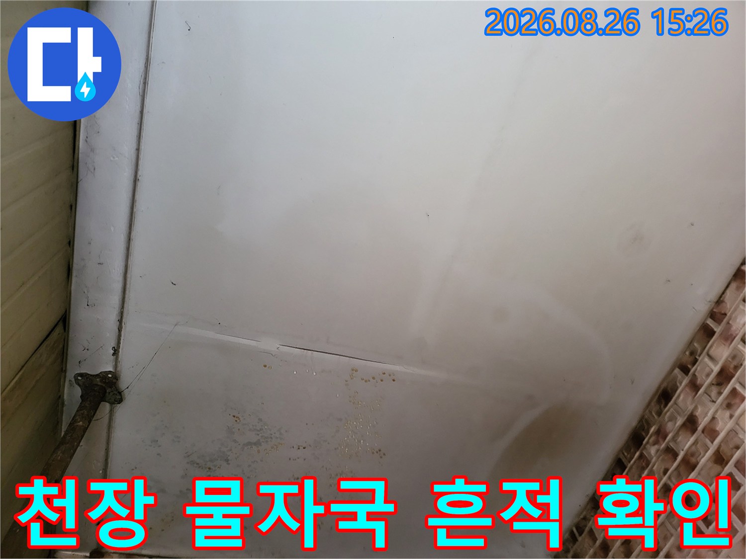 물기가 스며들어 변색된 천장 벽지 모습