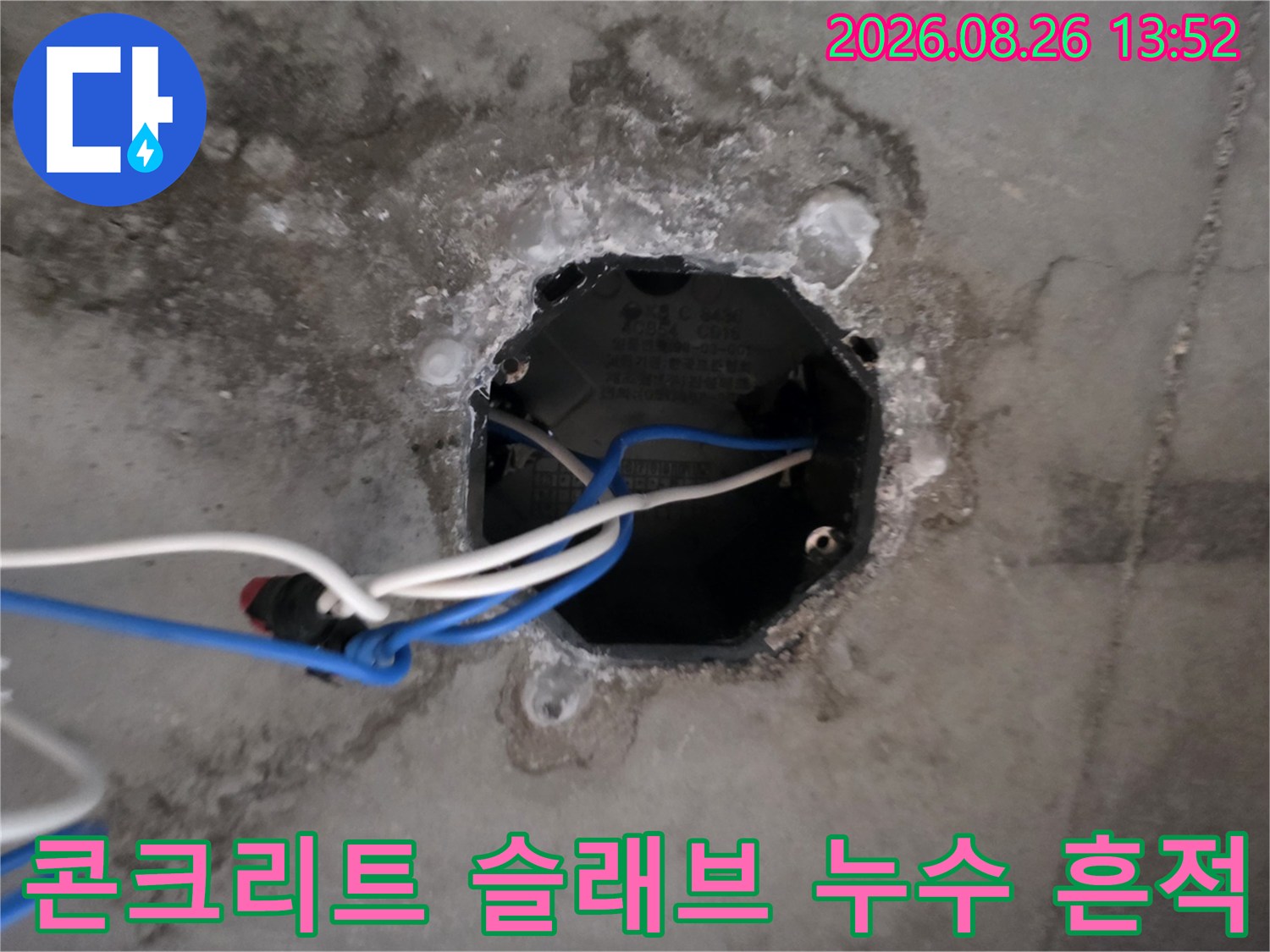 천장 콘크리트 슬래브 면에 나타난 젖은 얼룩과 배선 상태