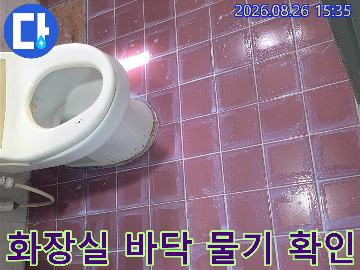 분홍색 타일 위 변기 주변의 습한 상태