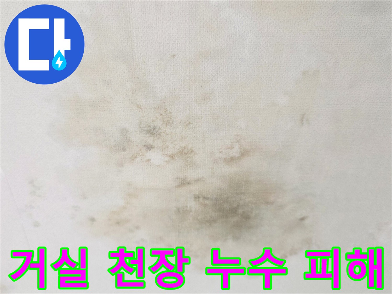 빌라-거실-천장부위의-심한-물번짐-및-오염-상태