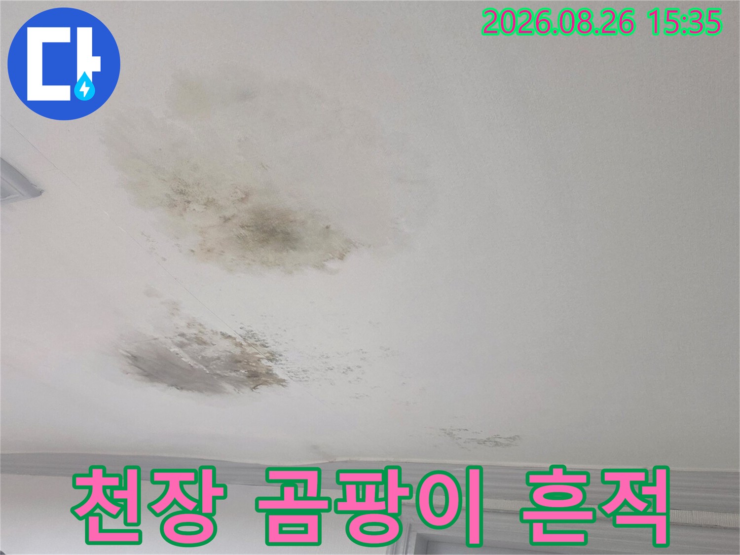 습기로 인해 변색되고 곰팡이가 발생한 천장 표면 모습