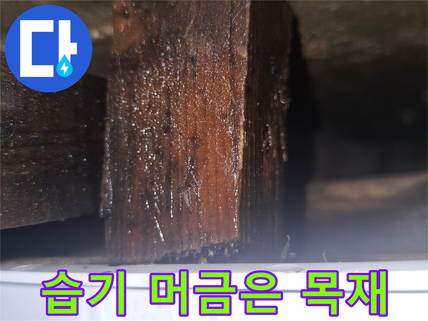 물기에 젖어 색이 변한 가구 하단 구조물