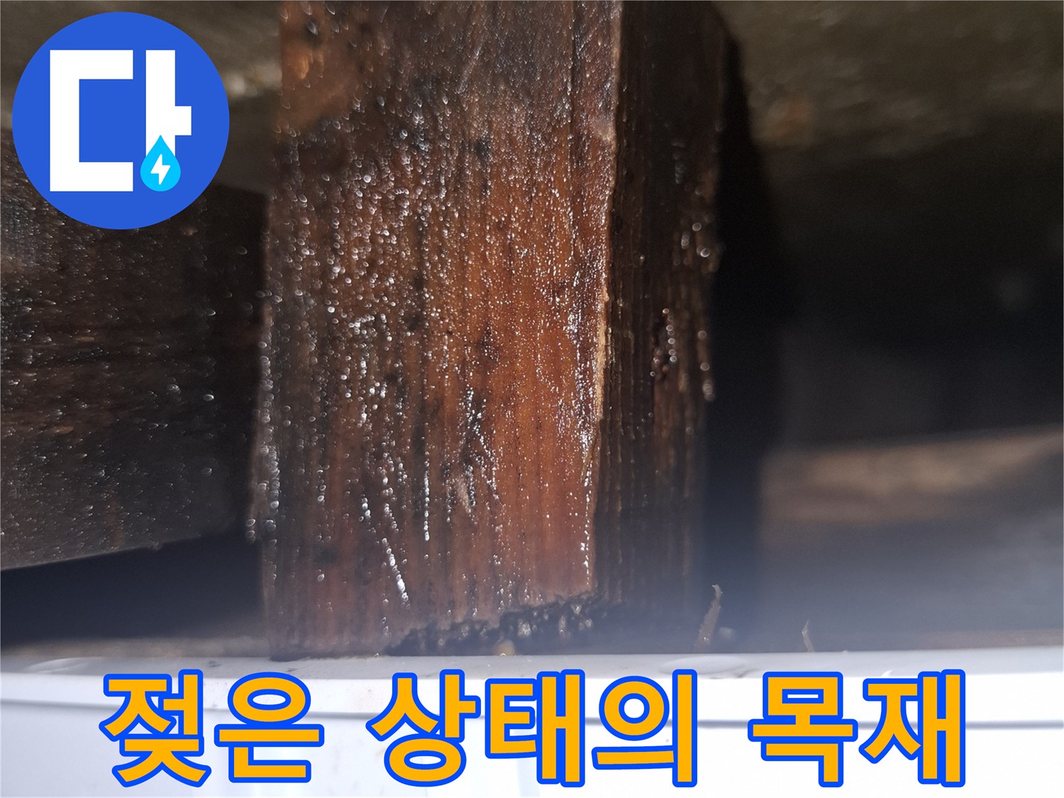 수분을-머금어-짙게-변한-목재-부위