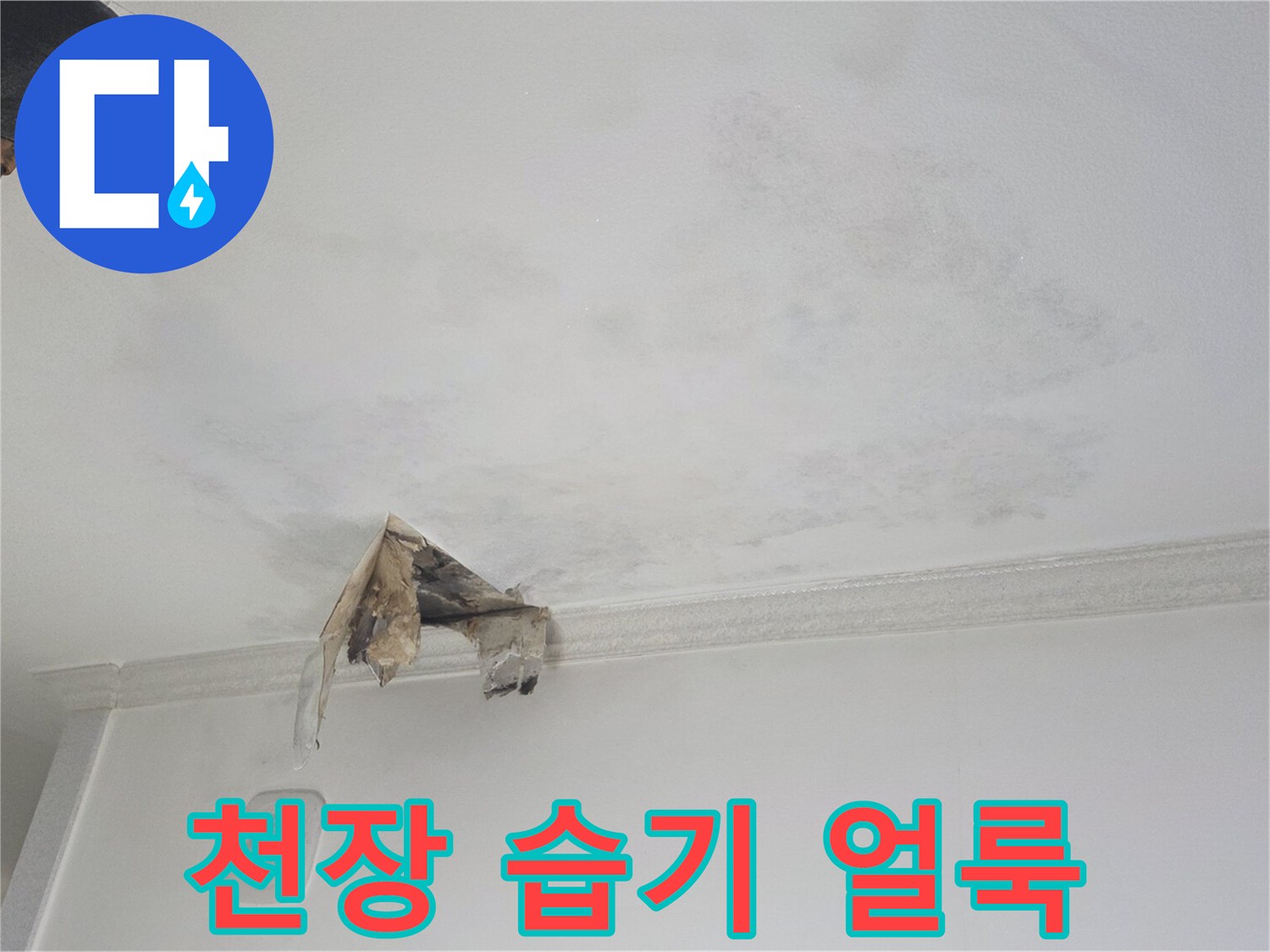 물에-젖어-변색된-천장-마감재