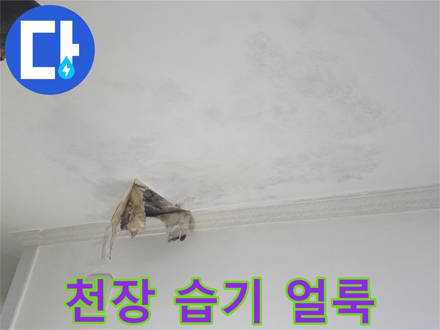 하안동 현장-물에 젖어 변색된 천장 마감재 부위