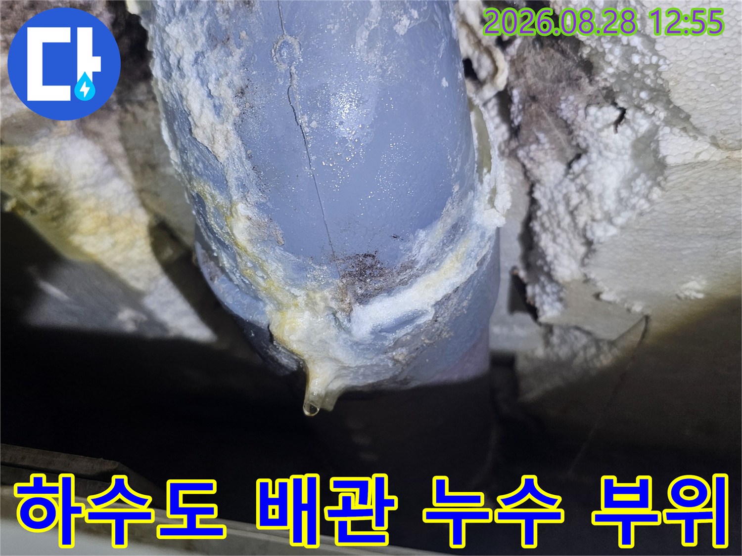 누수가 진행 중인 하수도 배관의 연결부와 균열 부위