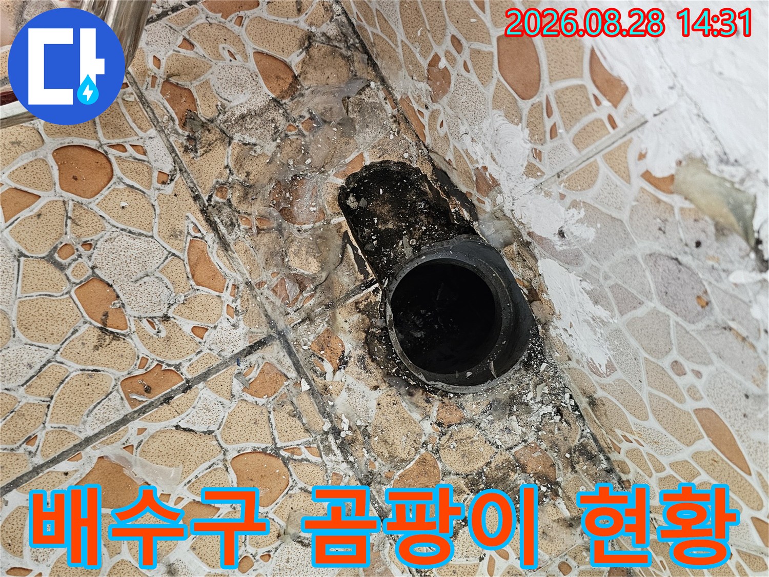 배수관 주변의 심한 오염과 곰팡이를 촬영한 누수 진단 사진입니다.