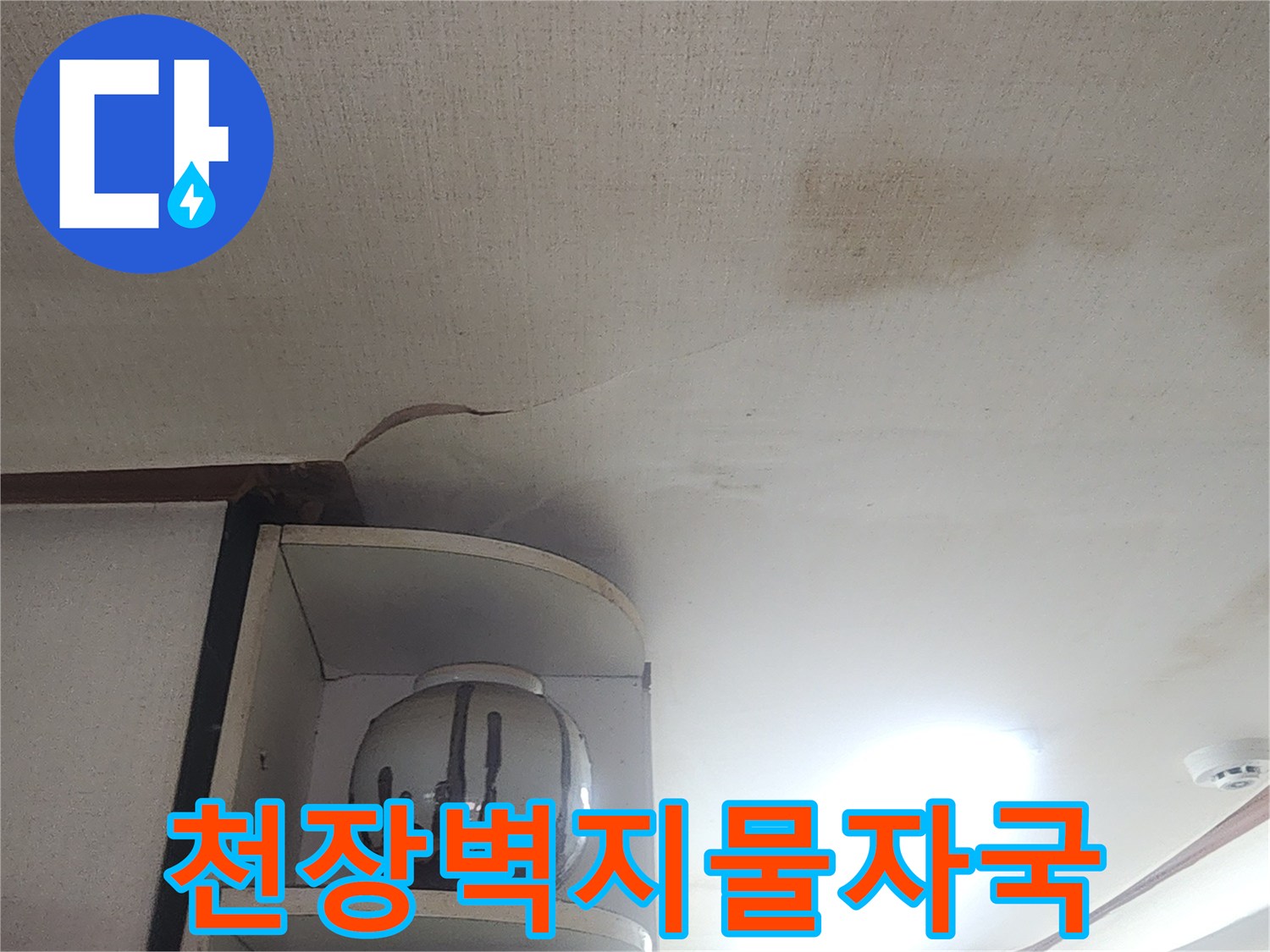 성북구 아파트-천장 벽지 오염 상태 사진