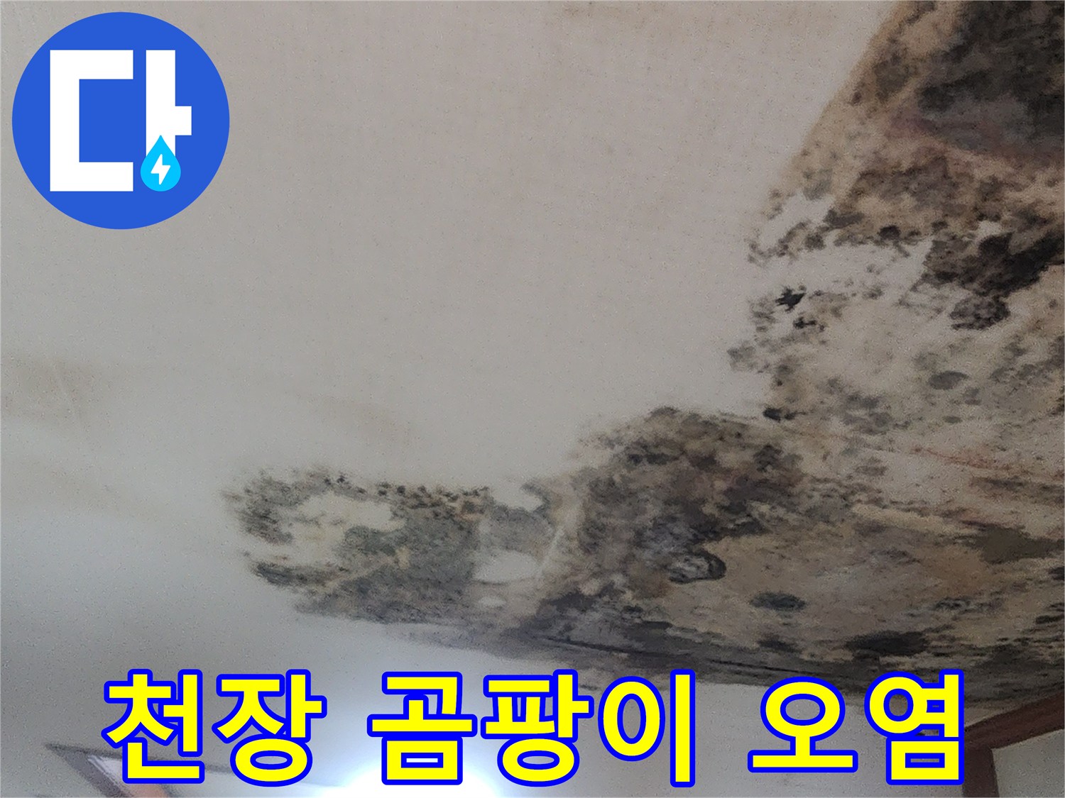 천장 벽면-누수로 인해 발생한 넓은 곰팡이 자국