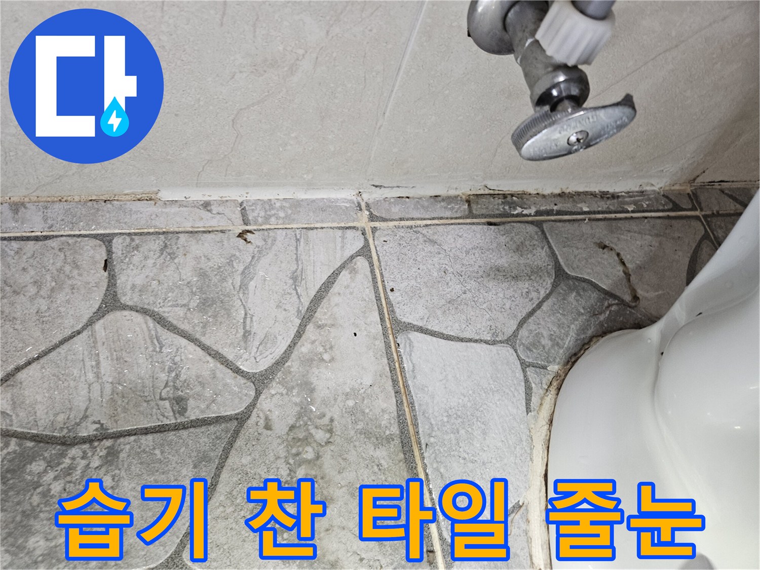 변기-옆-타일-사이의-젖은-줄눈-상태