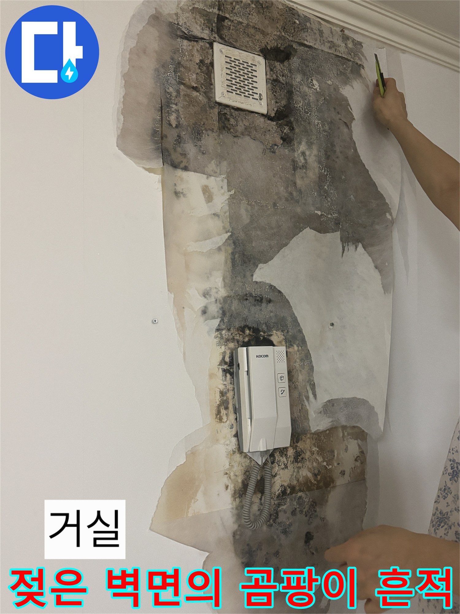 상계동 현장-누수로 인한 벽지 내부 오염 부위