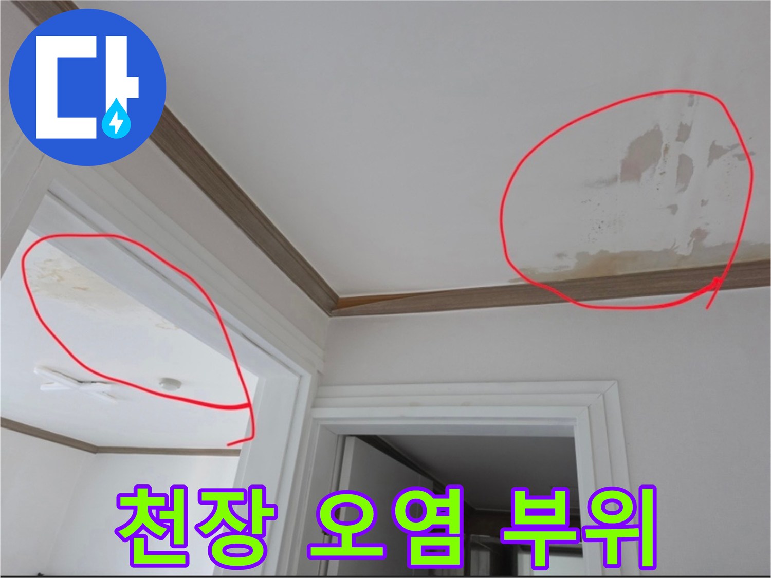 천장-몰딩-근처의-심한-물자국