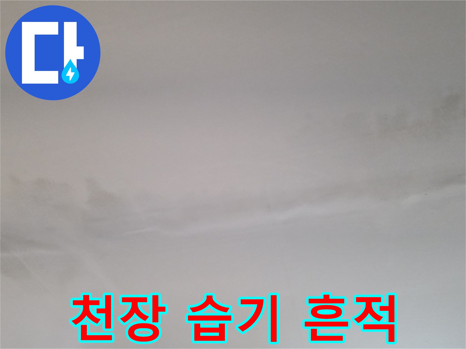 빌라-거실-천장-누수-오염-부분-확대
