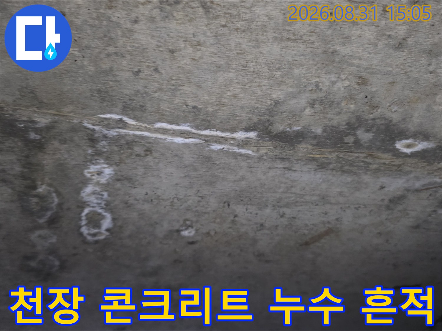 콘크리트 천장 부위의 하얀 누수 백화 현상과 얼룩