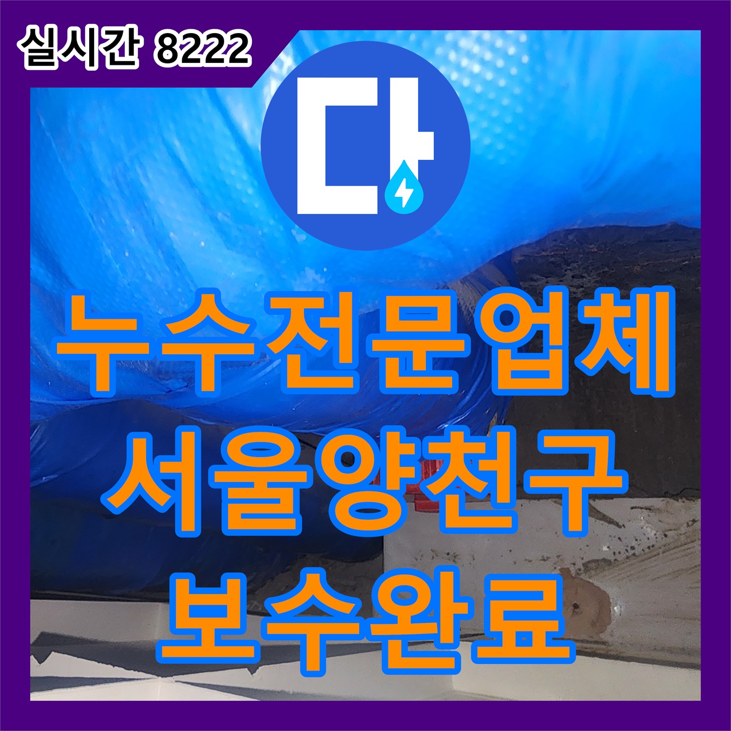 누수전문업체 서울 양천구 오목로 하수관 연결부 누수를 정밀하게 보수한 사례입니다