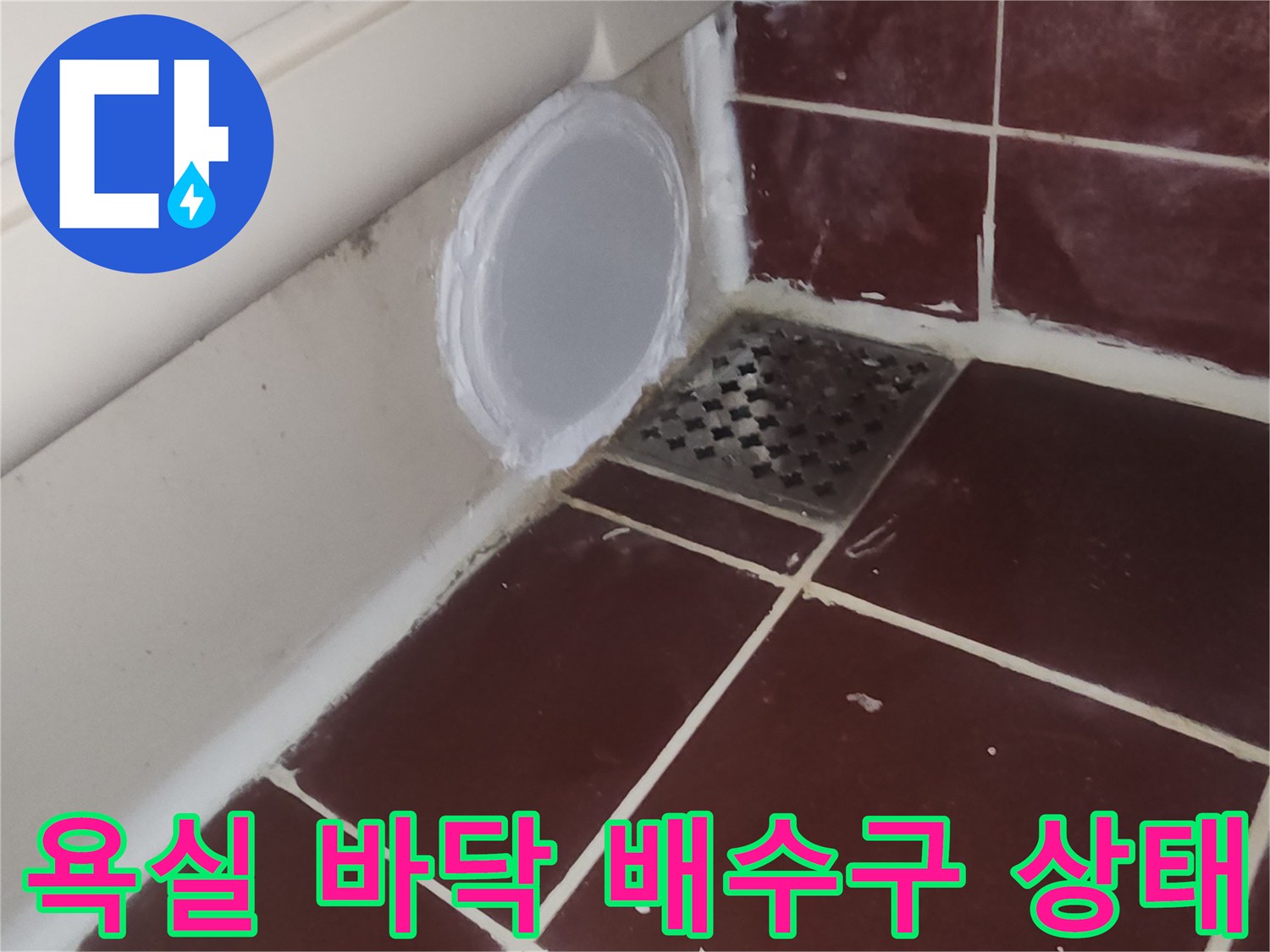 화장실-하수구-주변부-상태-기록
