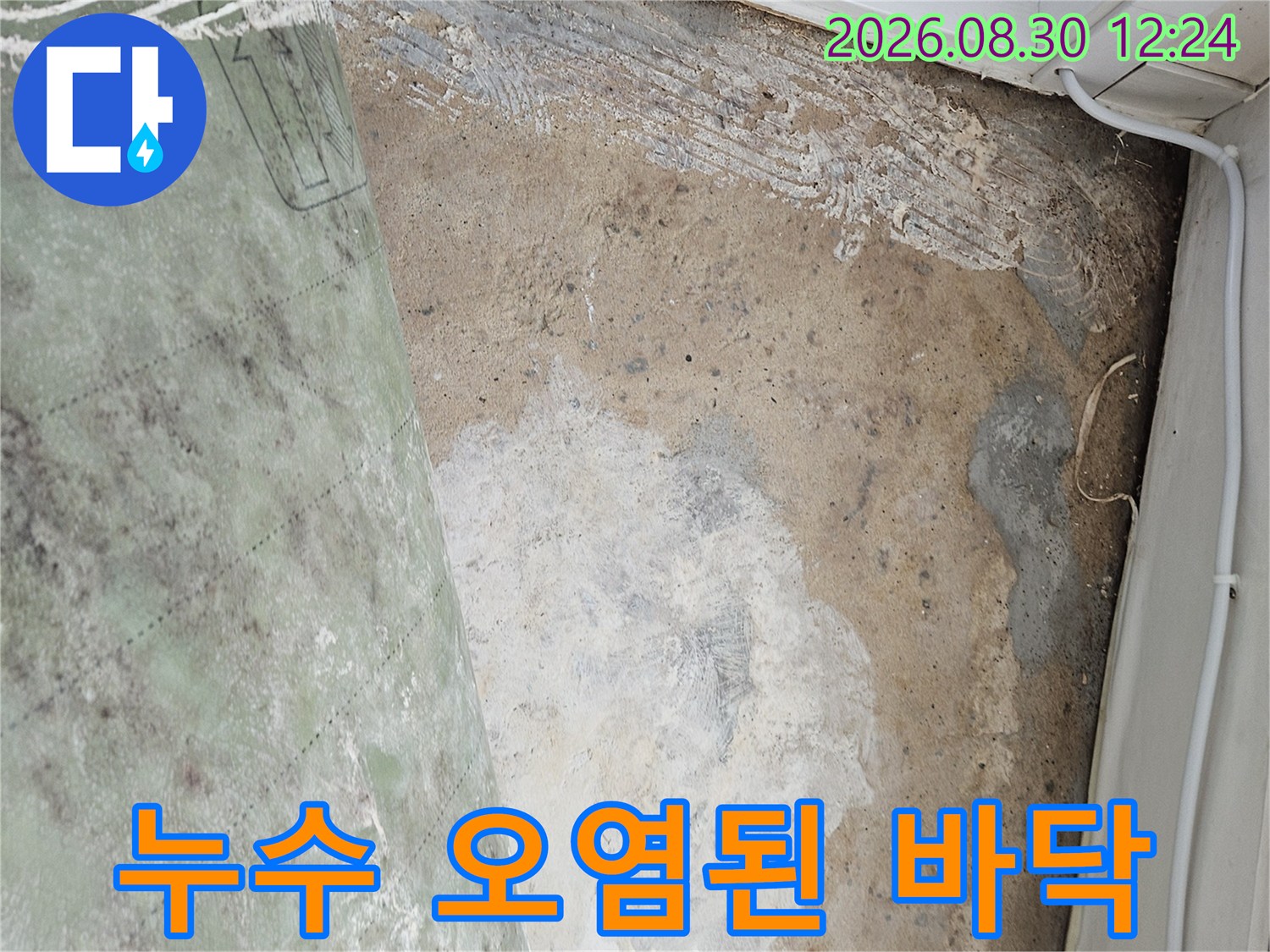누수로 인해 하얗게 일어난 베란다 바닥의 백화 현상