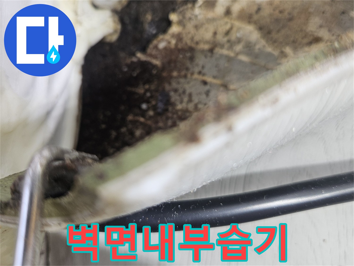 절개된 벽면-곰팡이가 핀 내부 모습