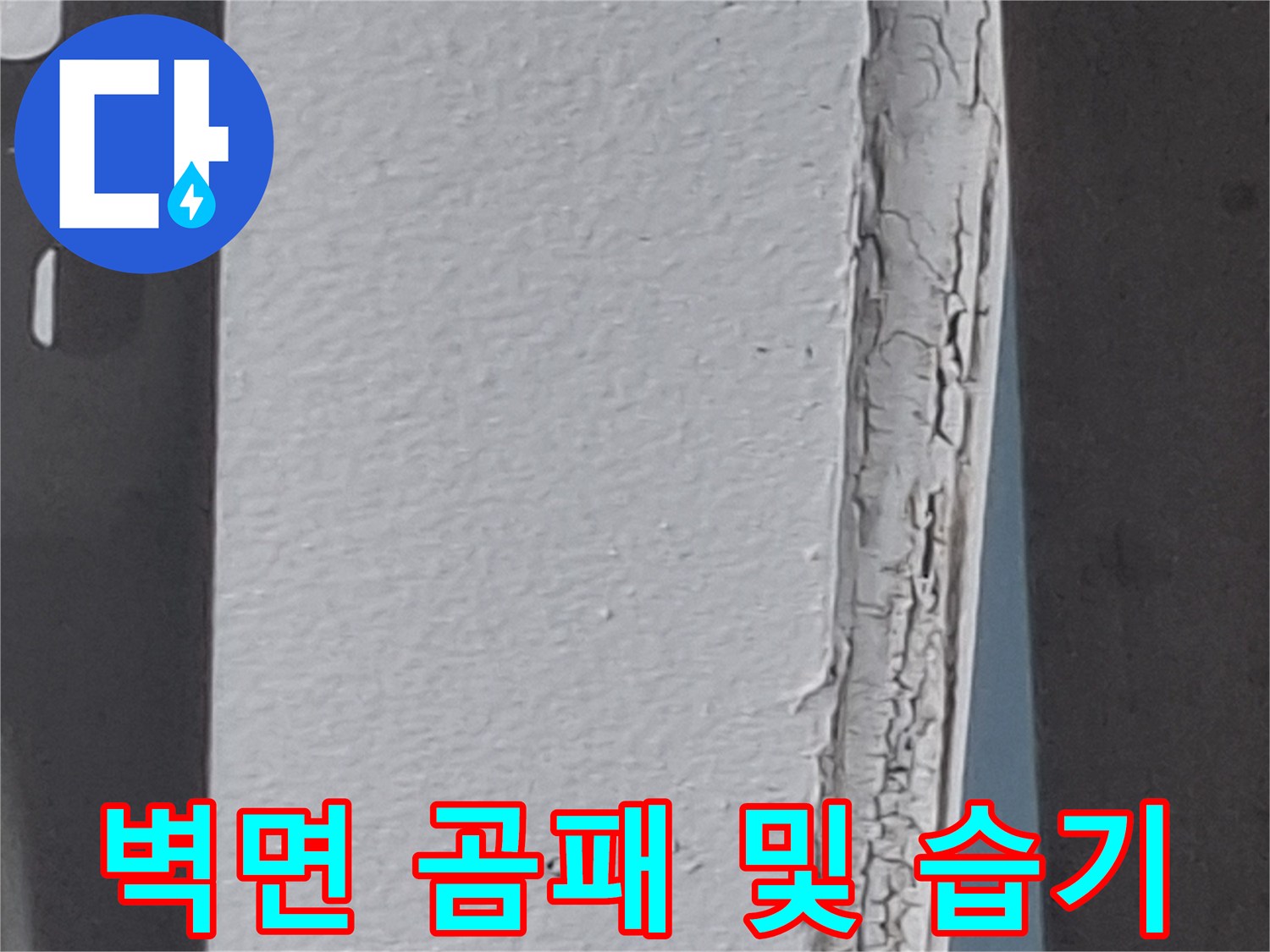 누수로 인해 변색된 벽면과 곰팡이가 발생한 부위
