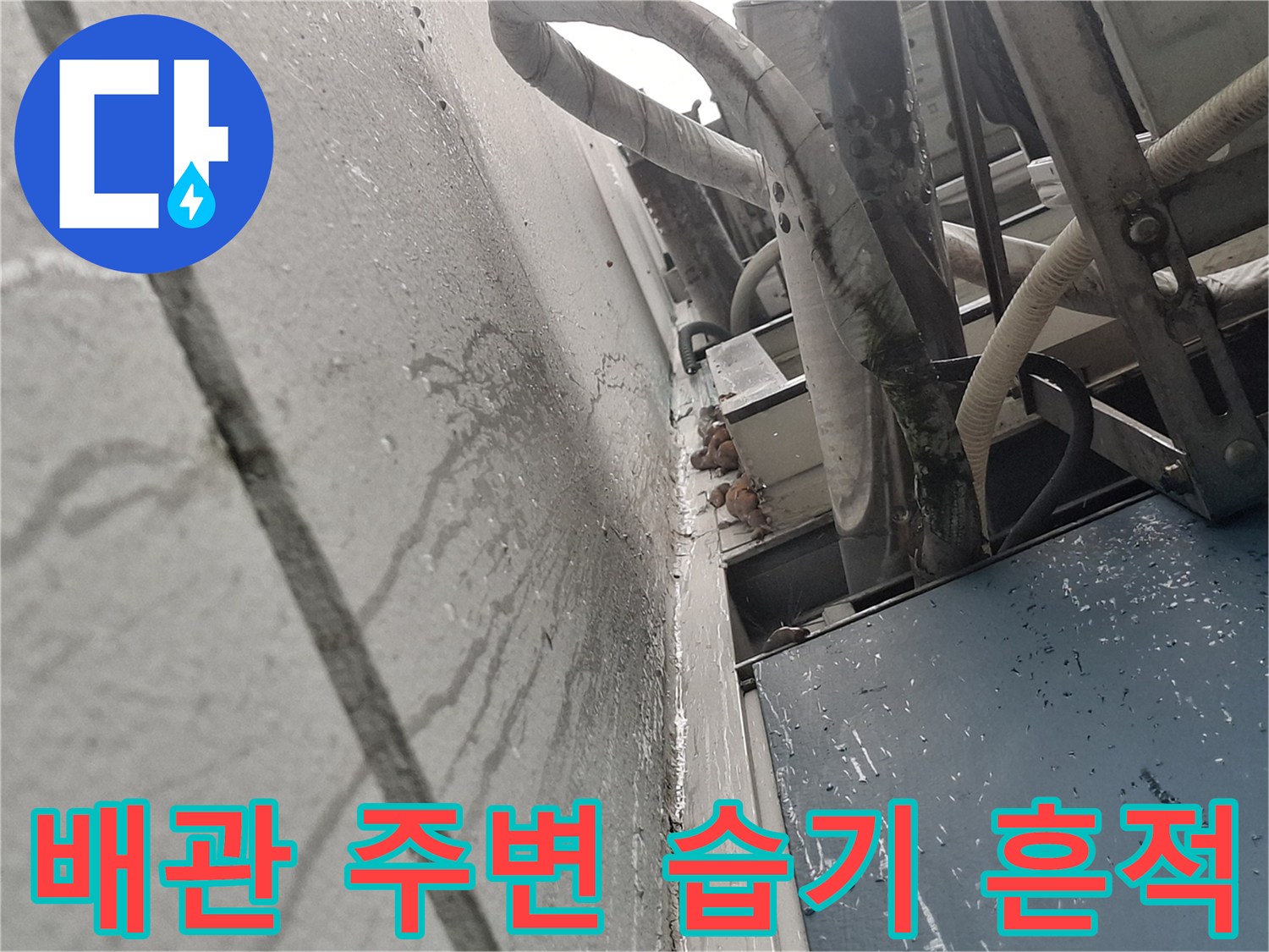 에어컨-배관-주변의-젖은-벽면-모습