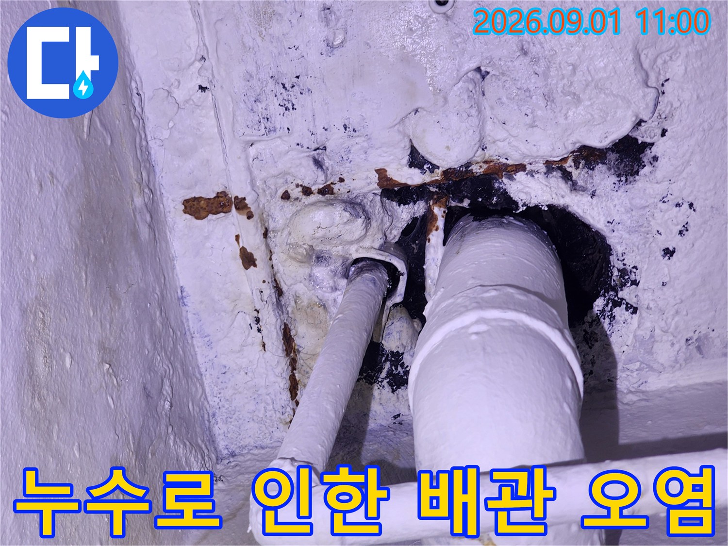 배관 주변-젖은 벽면과 곰팡이 현상