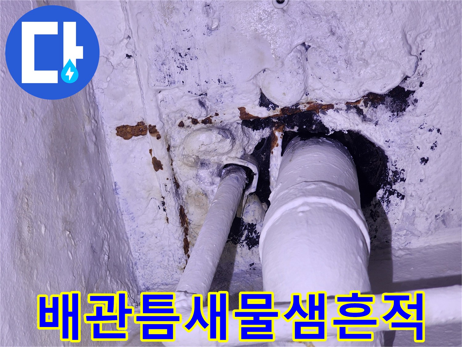 배관주변-벽면의-검은색-오염부위