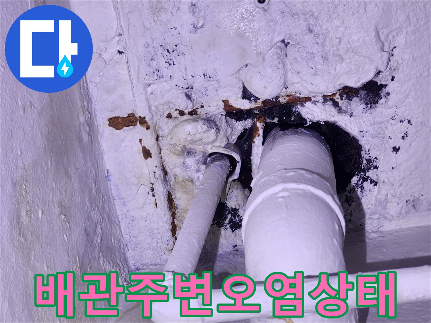 하얀색 배관-주변의 검은 곰팡이와 오염된 벽면 상태
