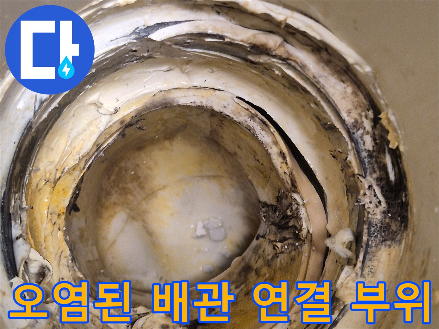 찌꺼기가 엉겨 붙은 오수 배관 주변