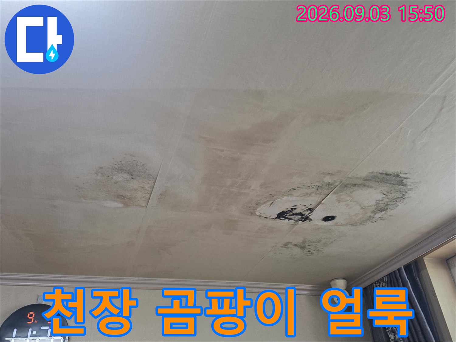 천장 마감재 표면의 누수 흔적과 곰팡이 부위