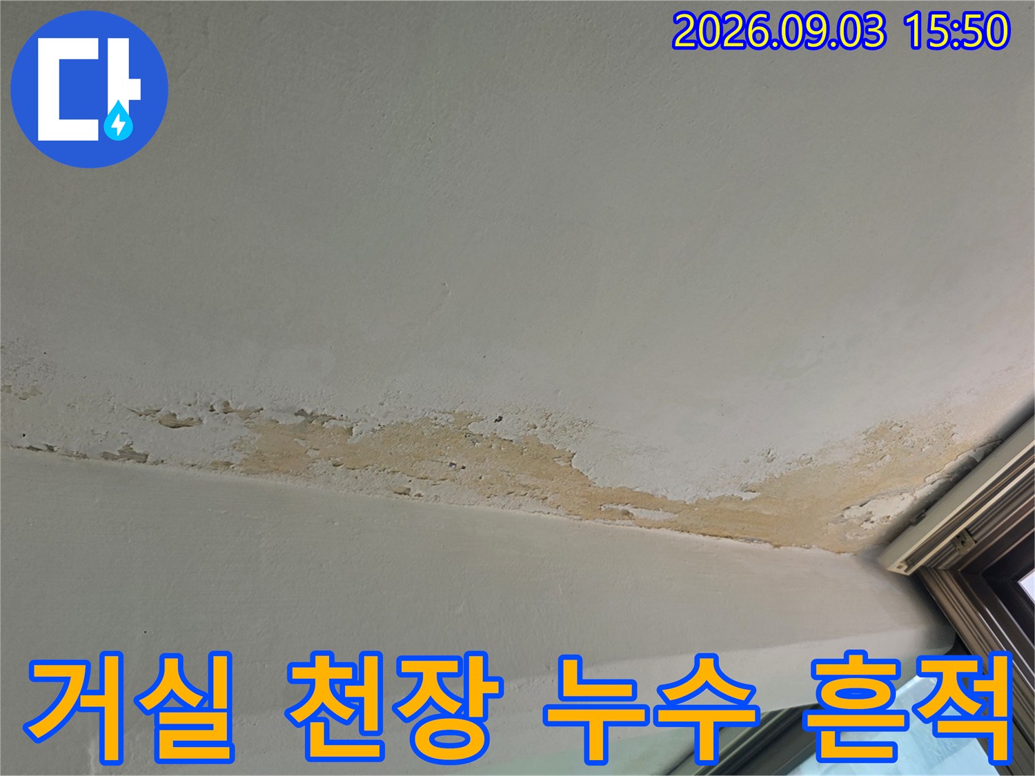 철원군 서천 거실 천장 벽지의 누수 변색 및 오염 부위