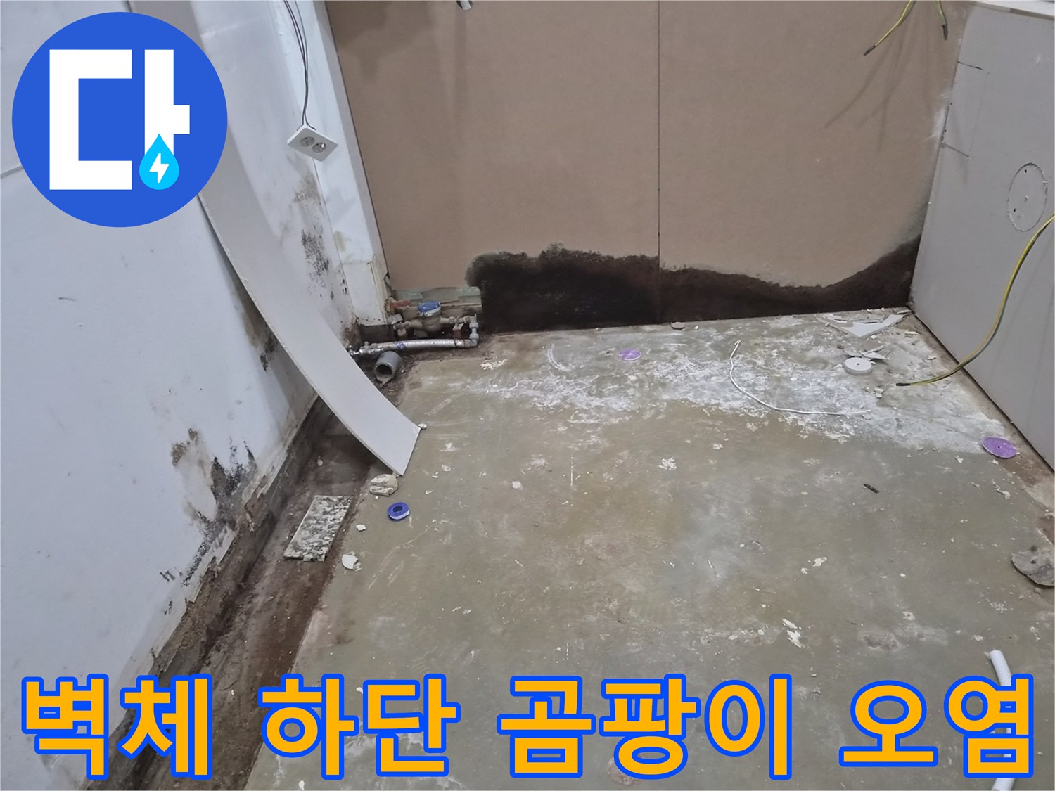 벽면 모서리-배관 주변의 심한 곰팡이 발생