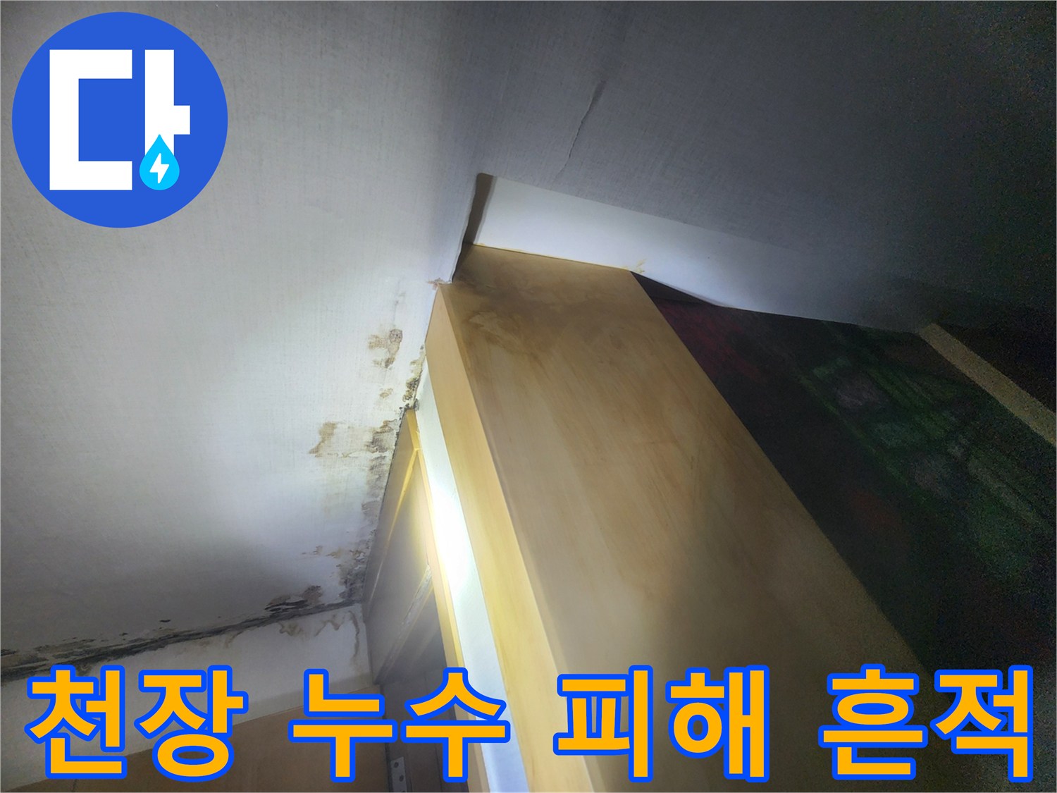 누수로 인해-곰팡이가 번진 천장 벽지 근접 촬영