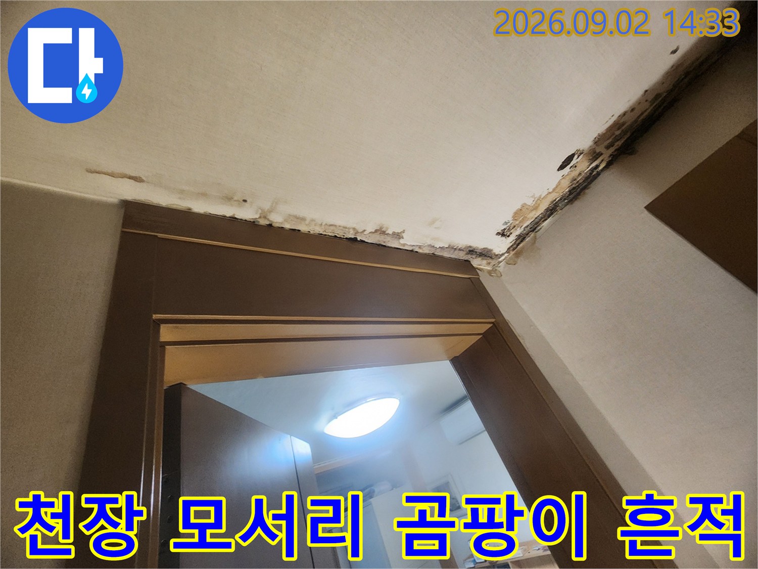 문틀 상단 천장 구석에 발생한 검은 곰<0xAE>팡이와 물자국
