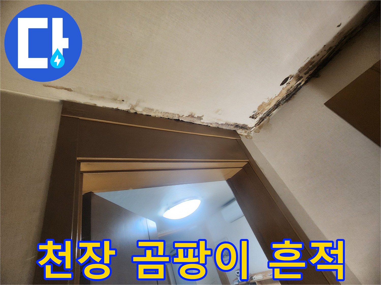 아랫집-천장-벽지-변색과-곰팡이-발생-상태