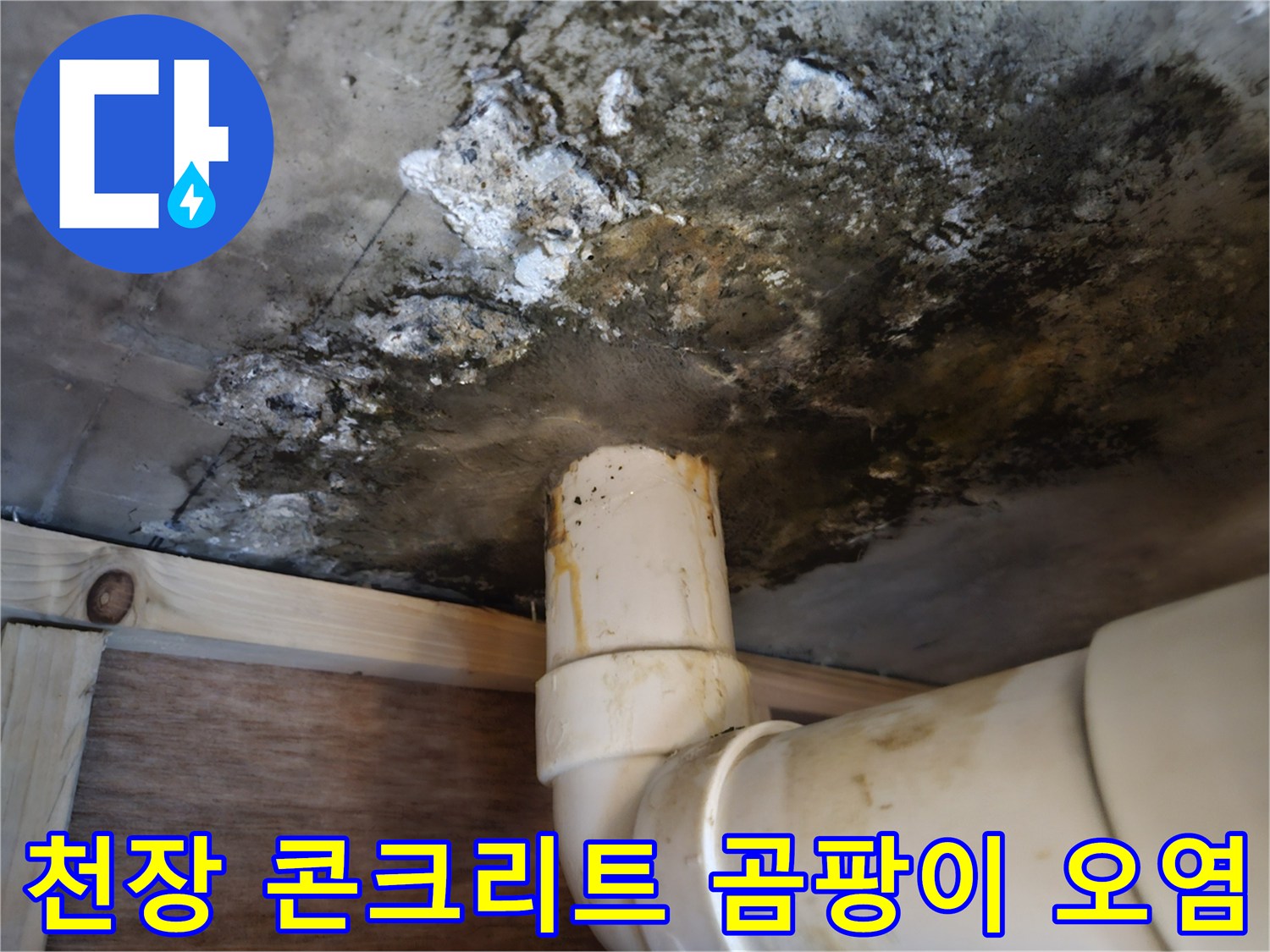 배관 근처에-심하게 발생한-검은색 곰팡이 자국