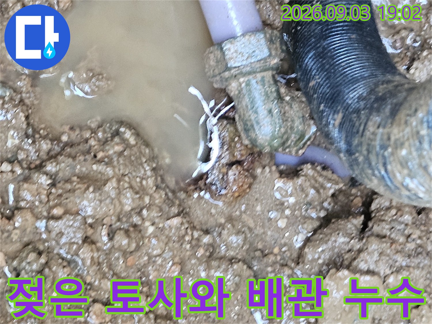 백암면 현장-땅속 매립 배관 연결 부위에서 물이 새어 나와 웅덩이가 형성된 상태입니다.