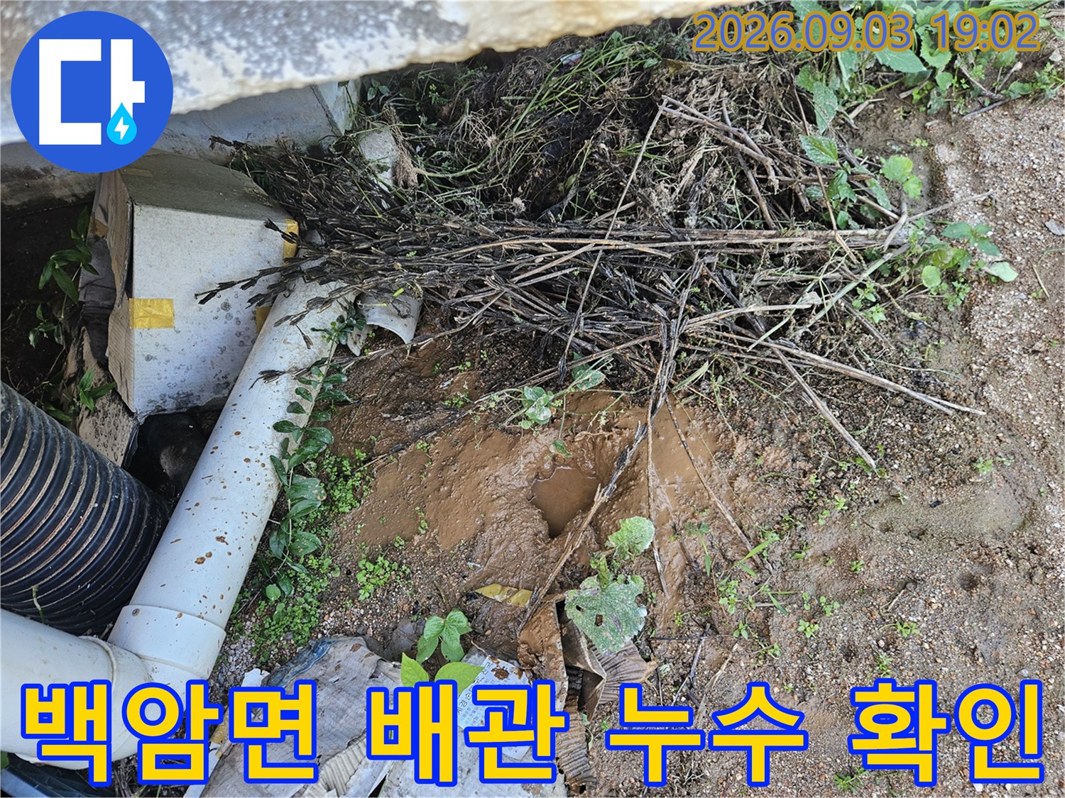 용인 처인구 백암면-배관 파손 부위 점검 중