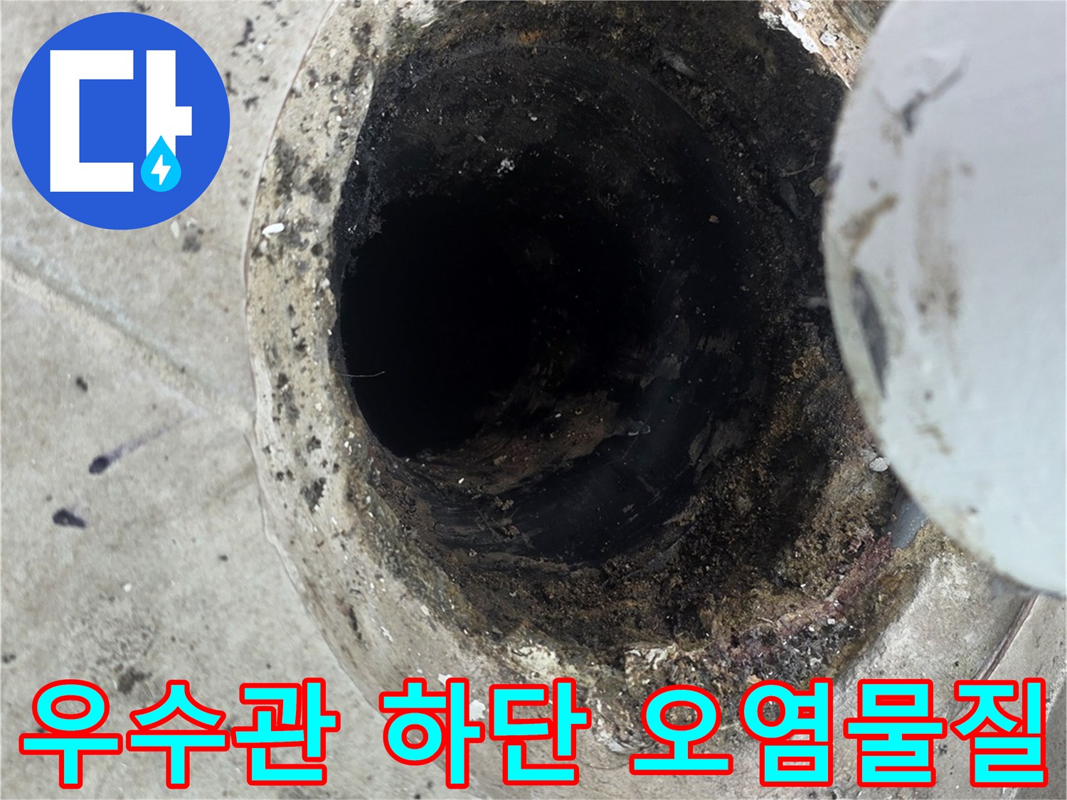 배수구 주변에 낀 이물질과 습한 바닥 상태