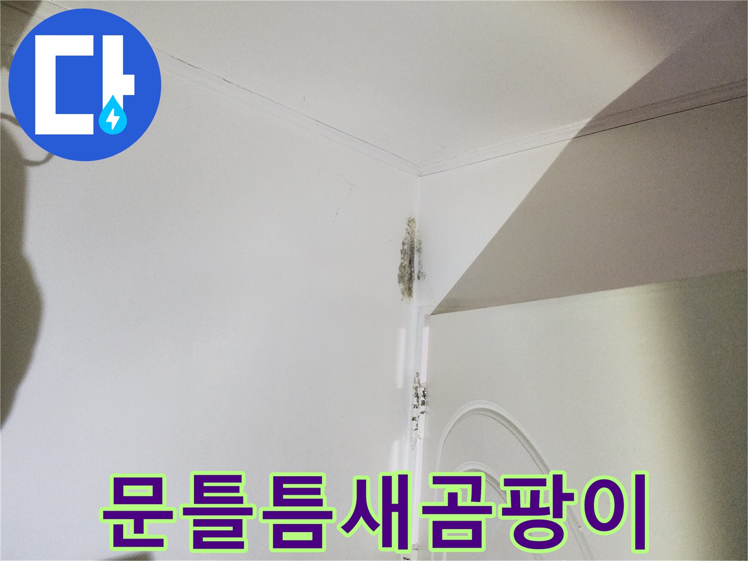 신사동 현장 점검-문틀 상단 틈새의 곰팡이와 습기 오염