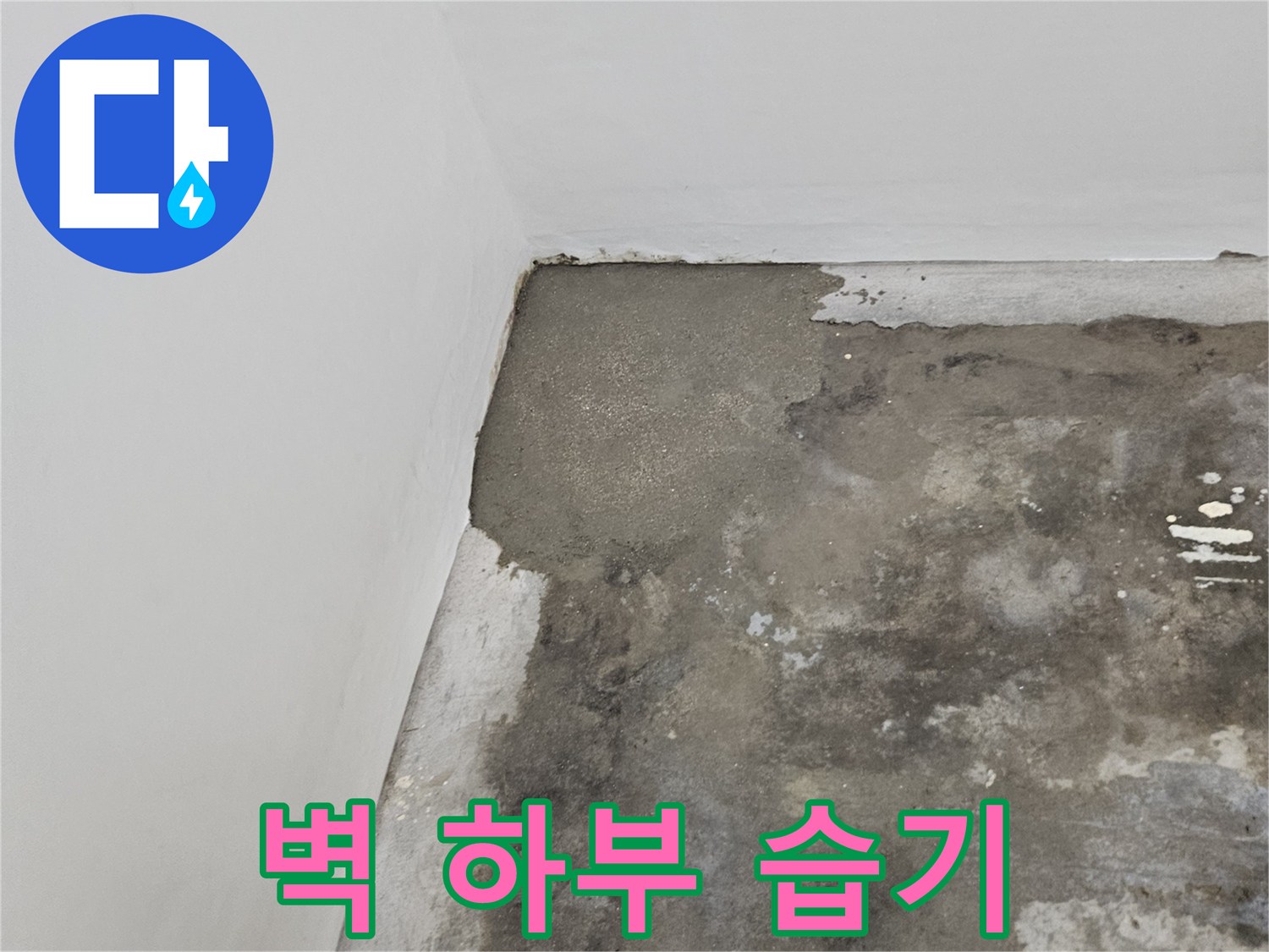 구로 현장-물기가 스며든 벽면 하단 경계