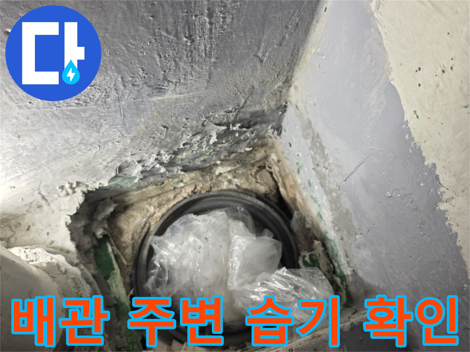 삼산동-현장-배수구-주변-습기-상태