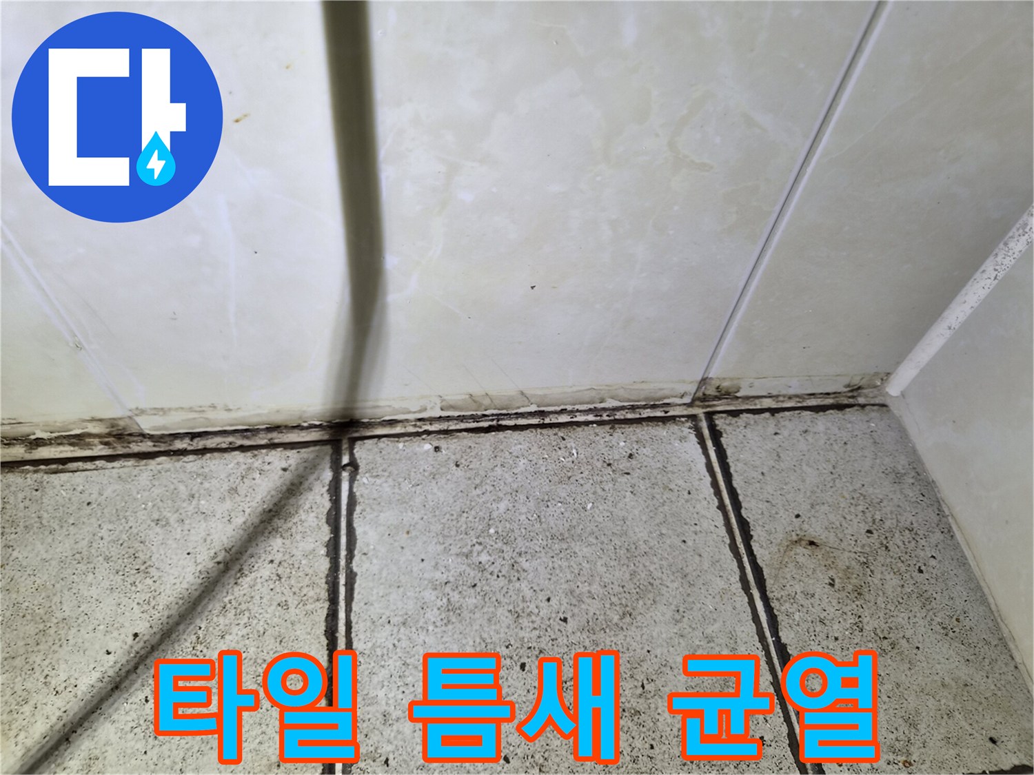 벌어진 타일 사이의 균열 부위 상세