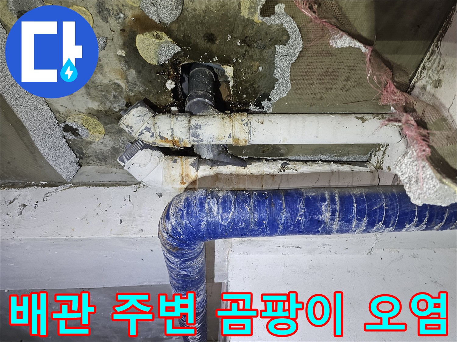 오래된-배관-주변의-습기-및-곰팡이-발생-모습