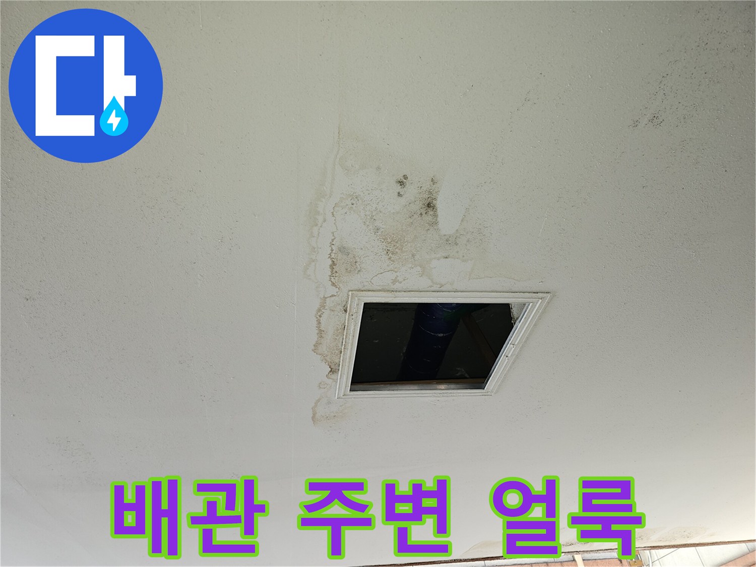 천장-배관-통로-주변의-물샘-및-오염-상태