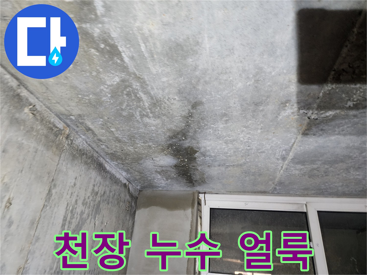 연천 전곡읍 빌라 지하층 천장의 젖은 흔적과 얼룩 상태