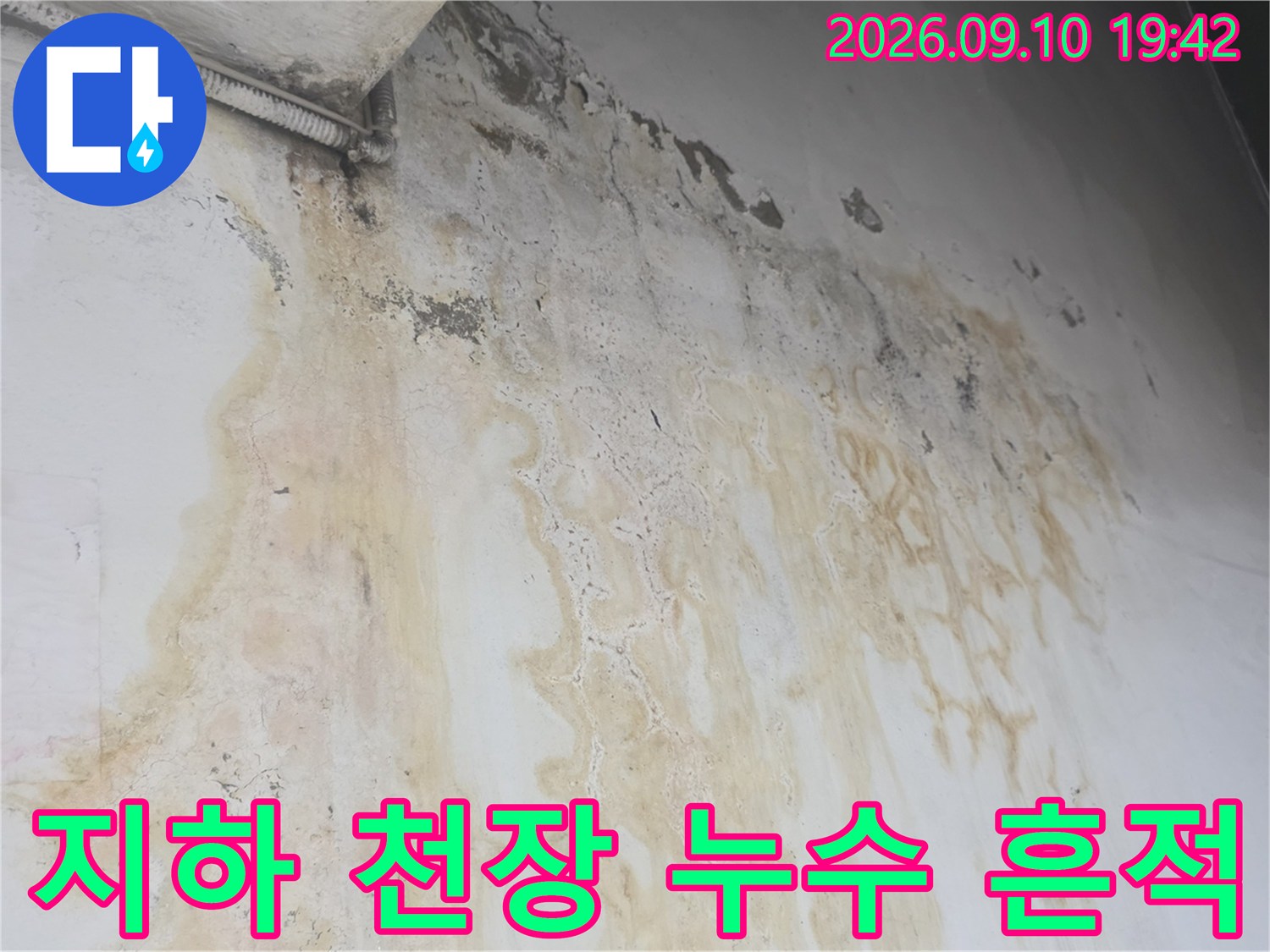 강서구 화곡동 지하 계단 천장의 백화 현상과 누수 얼룩 상태
